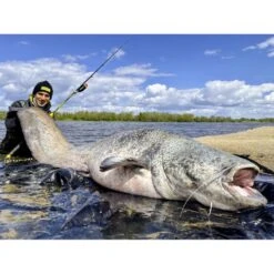 Canne Silure Black Cat Perfect Passion XH-S (455g - 2m80 - Max 350g - 2 - 140cm) -Pêche Matériel Magasin canne silure black cat perfect passion xh s 455g 2m80 max 350g 2 140cm 3