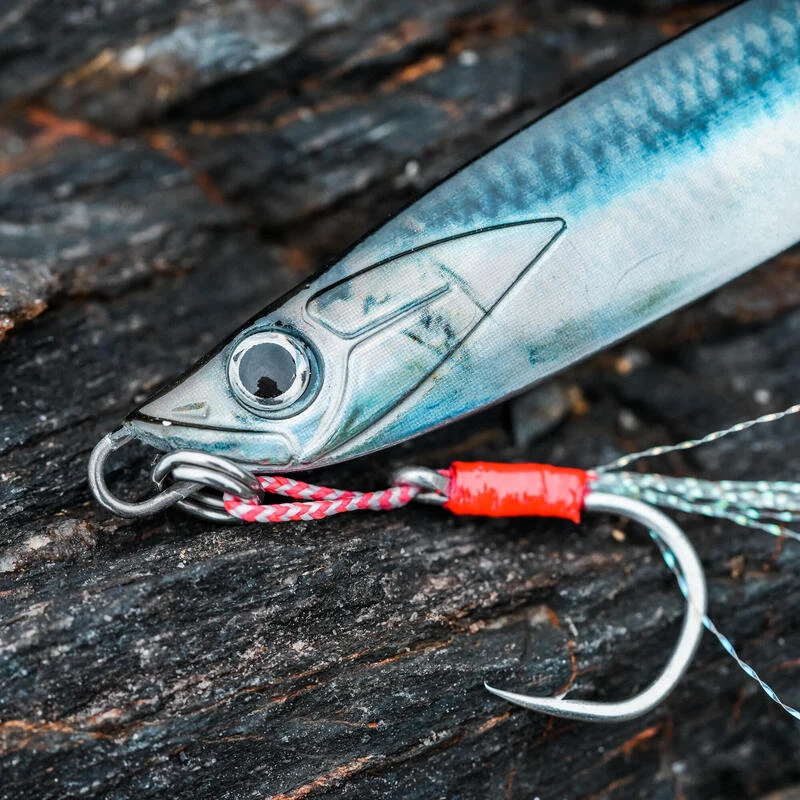 CUILLER BIASTOS 80gr ANCHOIS Pêche Au Leurre En Mer 7 CUILLER BIASTOS 80gr ANCHOIS Pêche Au Leurre En Mer – Image 5