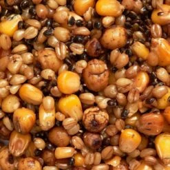 Pêche Matériel Magasin -Pêche Matériel Magasin melange graines cuites 1kg graines peche de la carpe 1