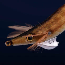 Turlutte Coulante Shallow EBIKA 2.5/105 Doré Chinchard Pêche Seiches/calamars 9 Turlutte Coulante Shallow EBIKA 2.5/105 Doré Chinchard Pêche Seiches/calamars -Pêche Matériel Magasin turlutte coulante shallow ebika 25105 dore chinchard peche seichescalamars 2