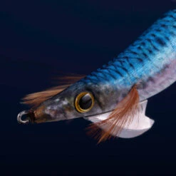 Turlutte Coulante Shallow EBIKA 3.0/120 Bleu Sardine Pêche Des Seiches/calamars 9 Turlutte Coulante Shallow EBIKA 3.0/120 Bleu Sardine Pêche Des Seiches/calamars -Pêche Matériel Magasin turlutte coulante shallow ebika 30120 bleu sardine peche des seichescalamars 2