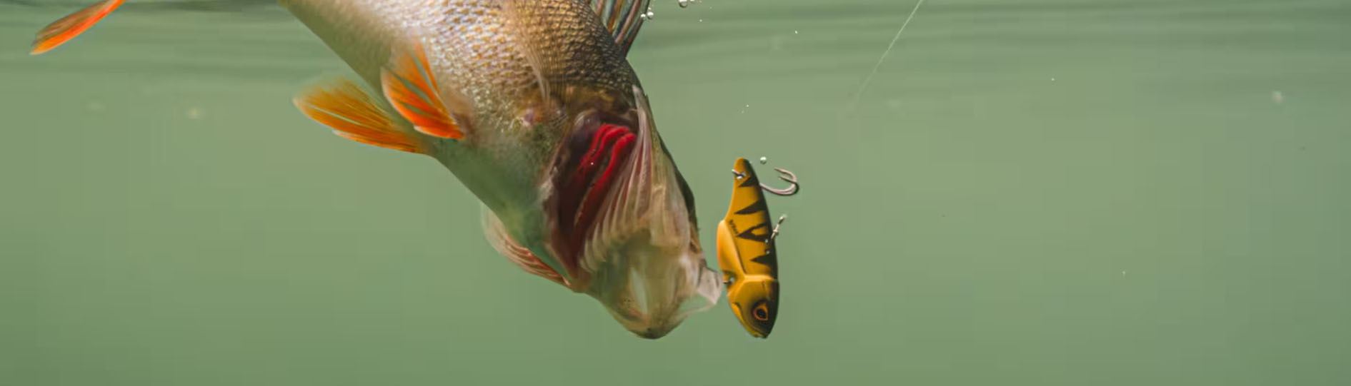 Pêche Matériel Magasin -Pêche Matériel Magasin fhuft