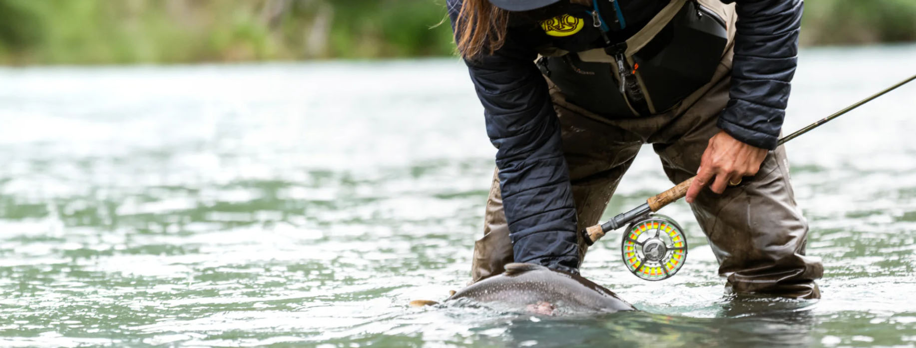Pêche Matériel Magasin -Pêche Matériel Magasin frthyfthy